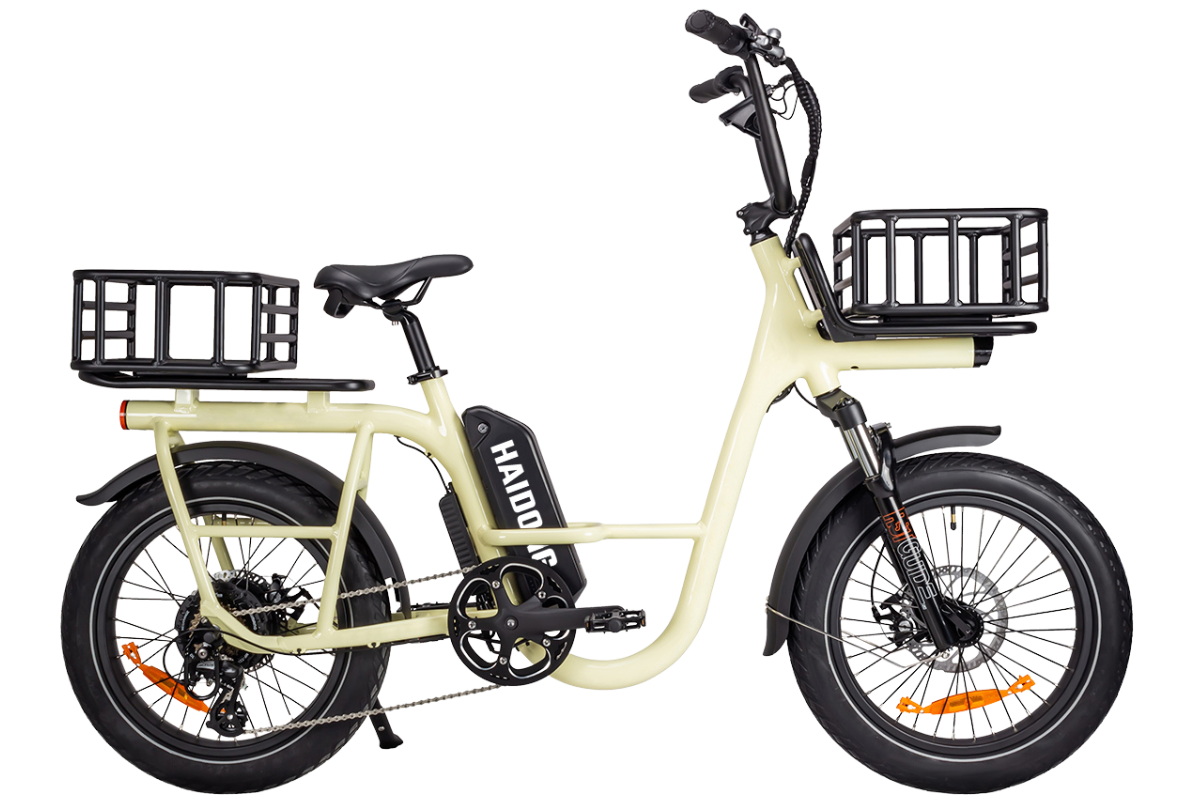 Electric Tricycle LD Ebike